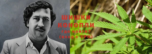 ALPHA PVP Вяземский